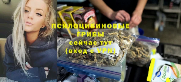 герыч Алексин